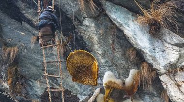 Thrilling Honey Hunting Tour in the high hills cliffs of Nepal